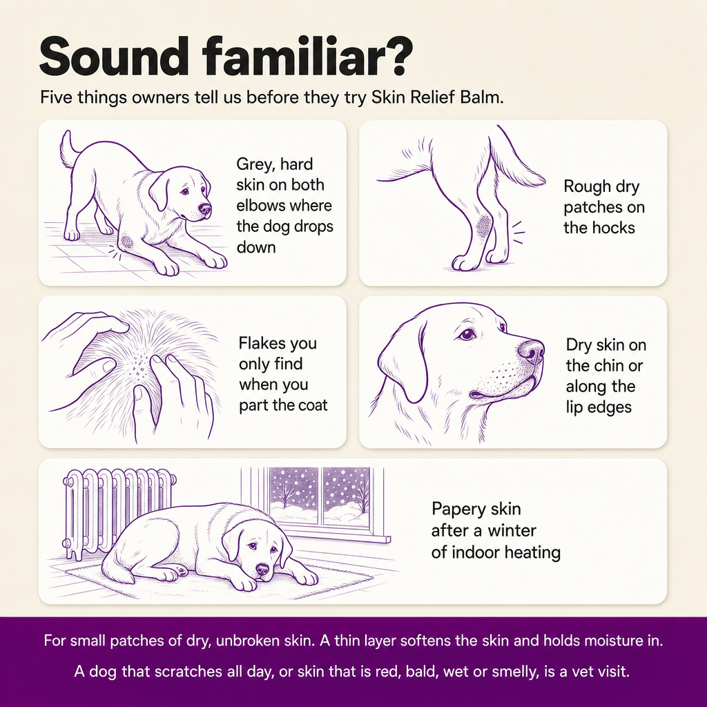 Sound familiar? Five things owners describe before trying Skin Relief Balm: grey hard elbows, rough hocks, flakes under the coat, dry chin, papery skin after winter heating.