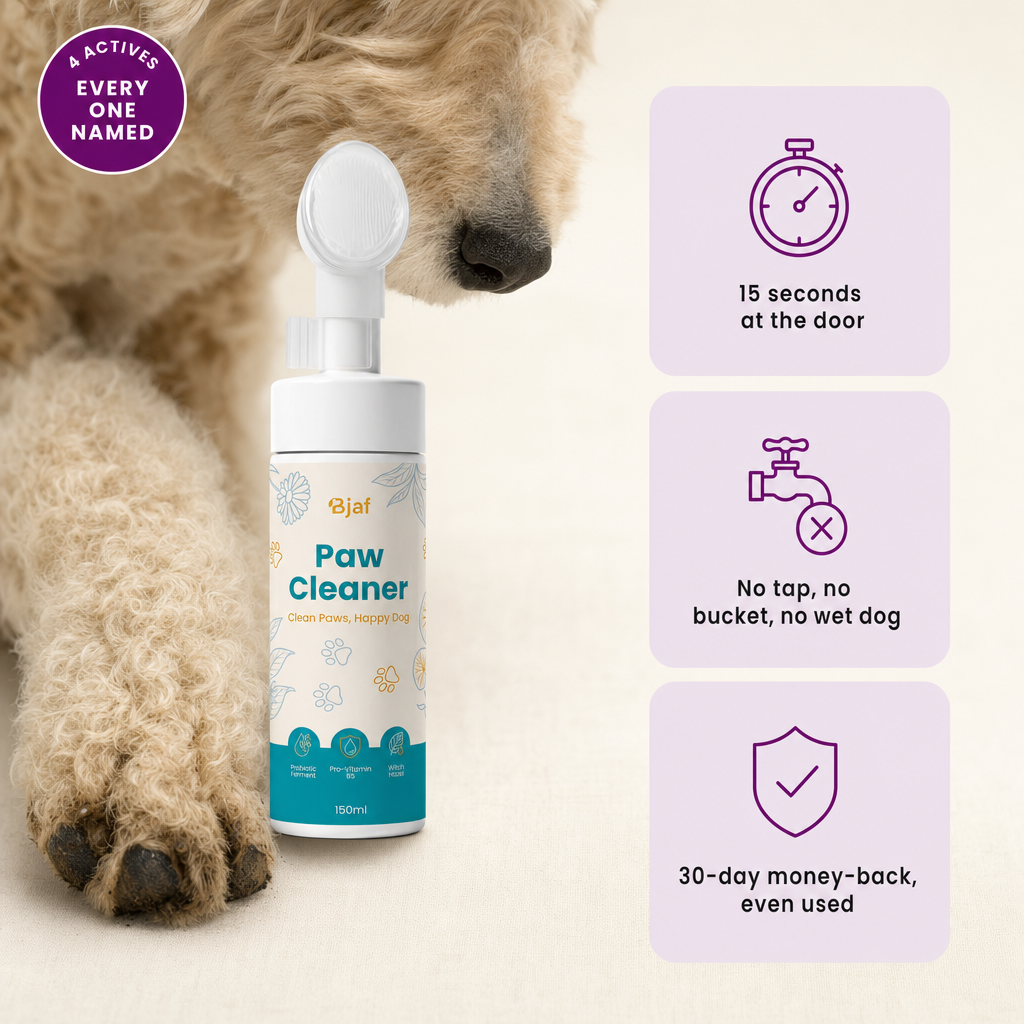 Bjaf Paw Cleaner 150 ml bottle with silicone brush head. 4 actives, every one named. 15 seconds at the door, no tap no bucket no wet dog, 30-day money-back even used.