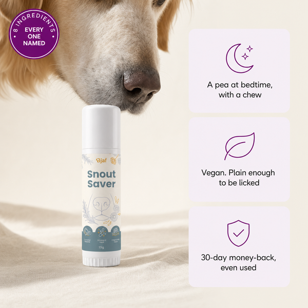 Snout Saver Balm 15g