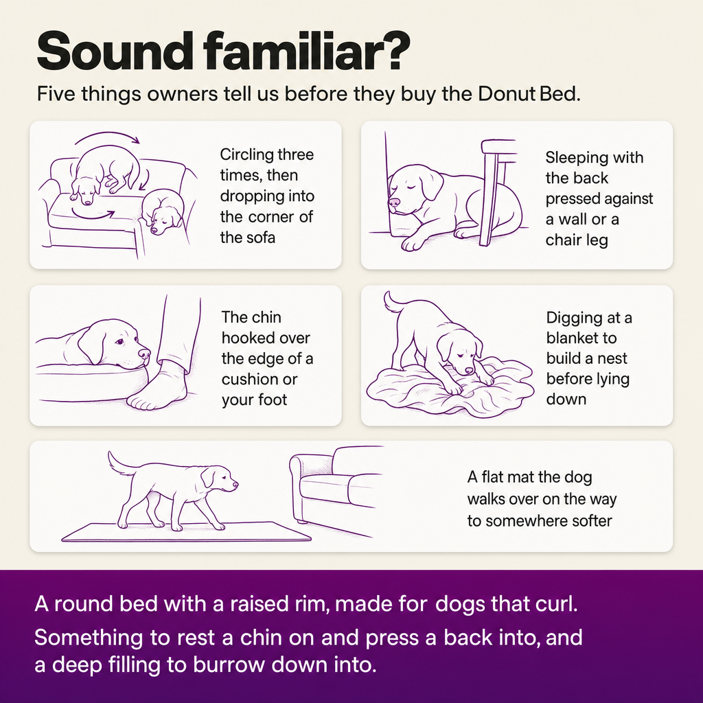 Sound familiar? Five things owners describe before buying the Donut Bed: circling into the sofa corner, back pressed against a wall, chin hooked over a cushion, digging a nest, walking over a flat mat.