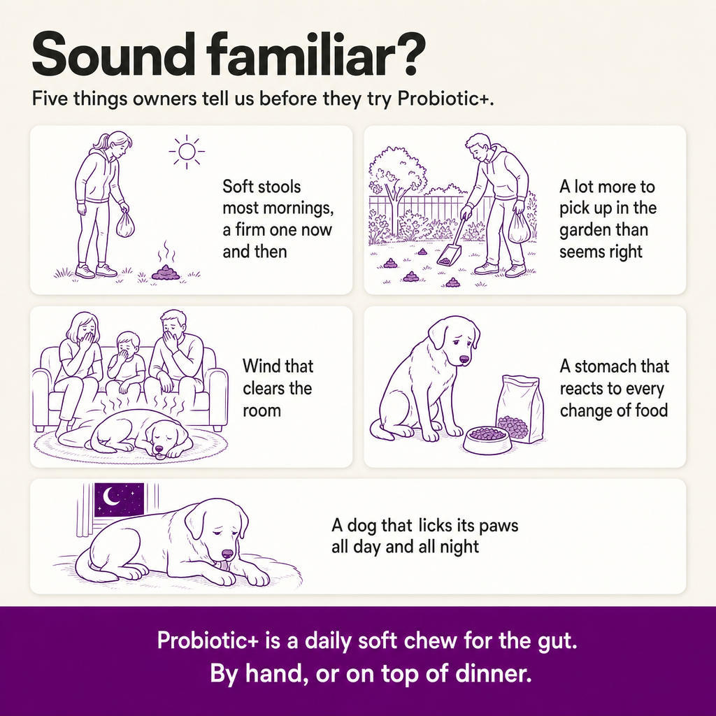 Sound familiar? Five things owners describe before trying Probiotic+: soft stools, more to pick up in the garden, wind that clears the room, a stomach that reacts to food changes, paw licking.